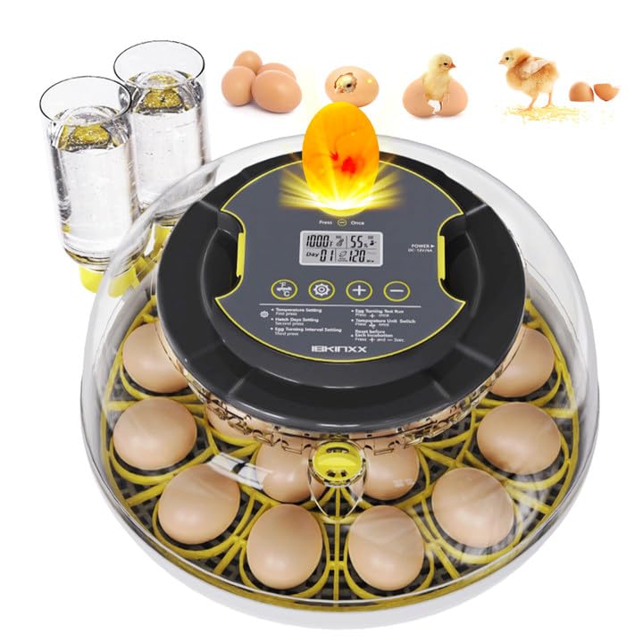 IBKINXX incubator 18-egg capacity for backyard hatchers