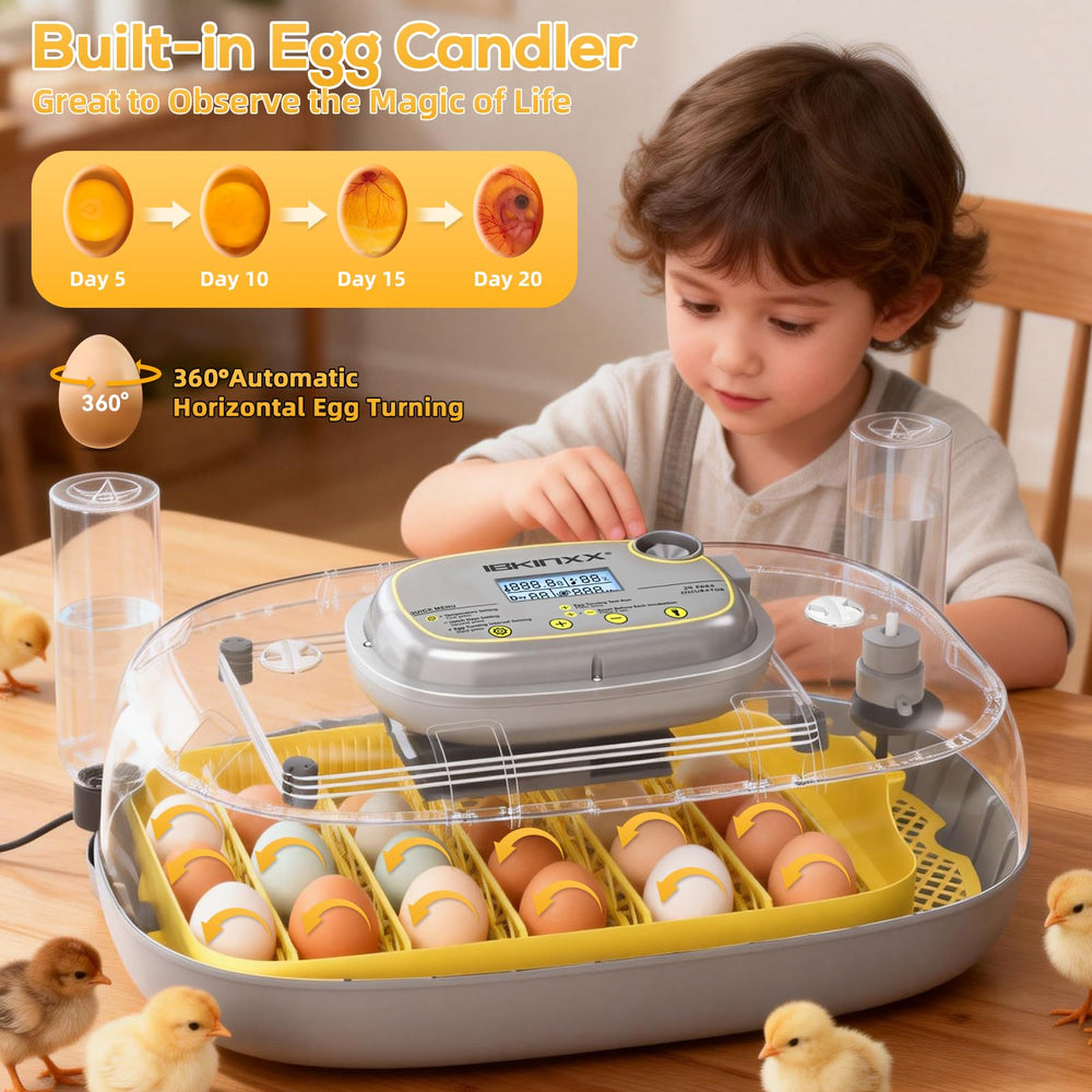 IBKINXX incubator with automatic egg turner enables hands-free hatching.