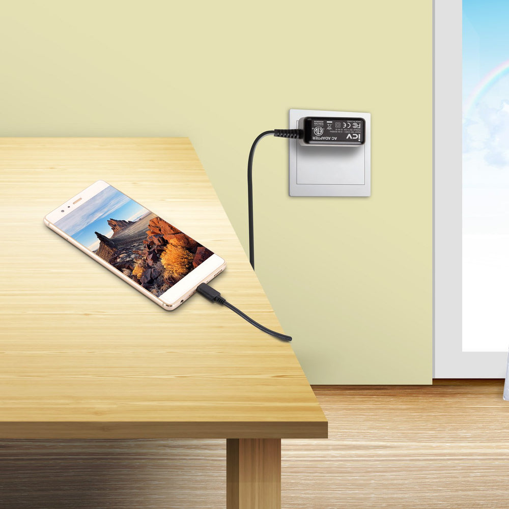 iCV travel-ready charger for home, office, or on-the-go charging.