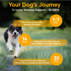 iHeartDogs mushroom gold powder sprinkled over meals for immune support.