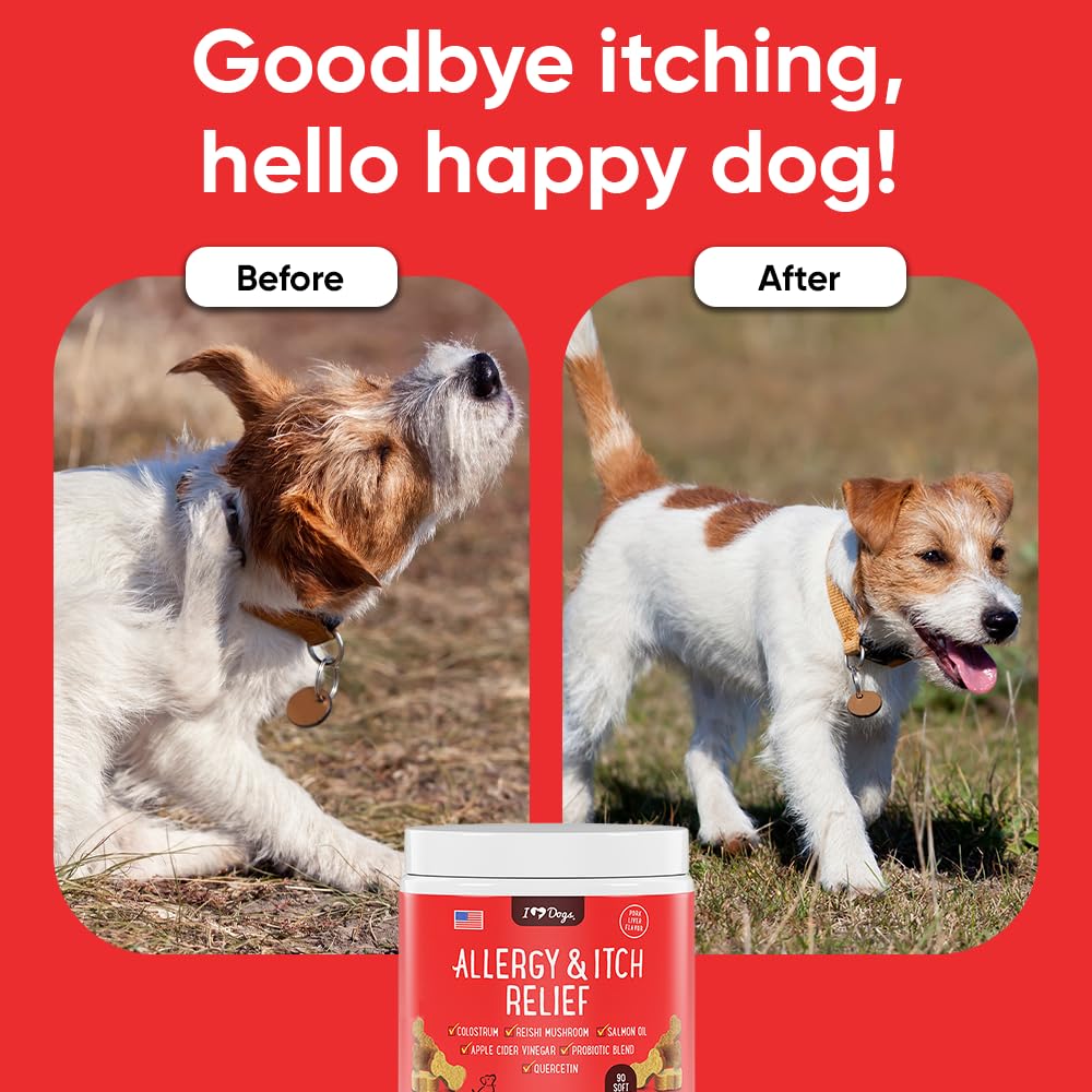 iHeartDogs Probiotics boost gut health and immune defenses in dogs