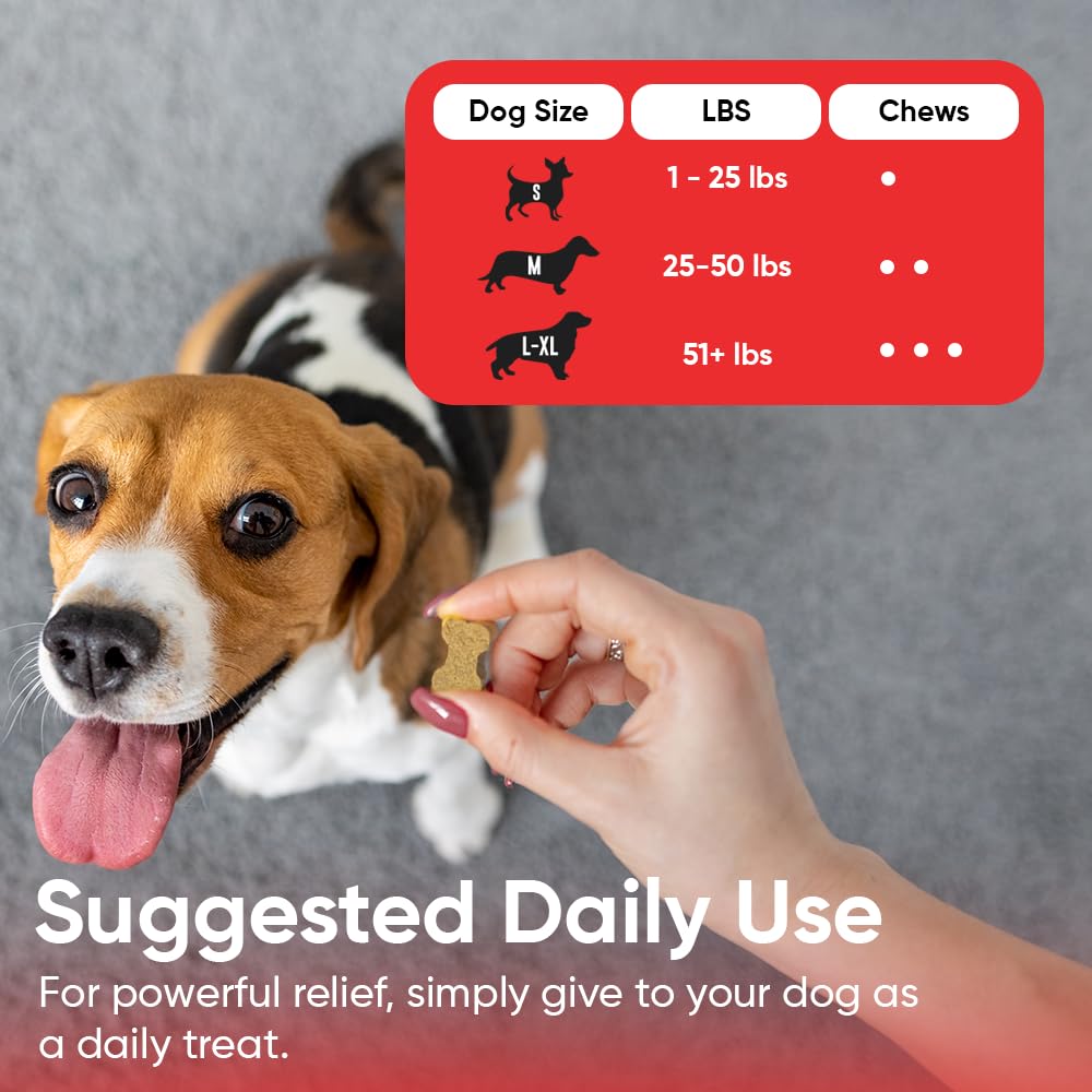 iHeartDogs Shelter donation bag helps provide healthy meals to dogs