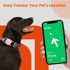 ILFINDYOU protection 360° AirTag sur collier chien, résistante aux chocs.