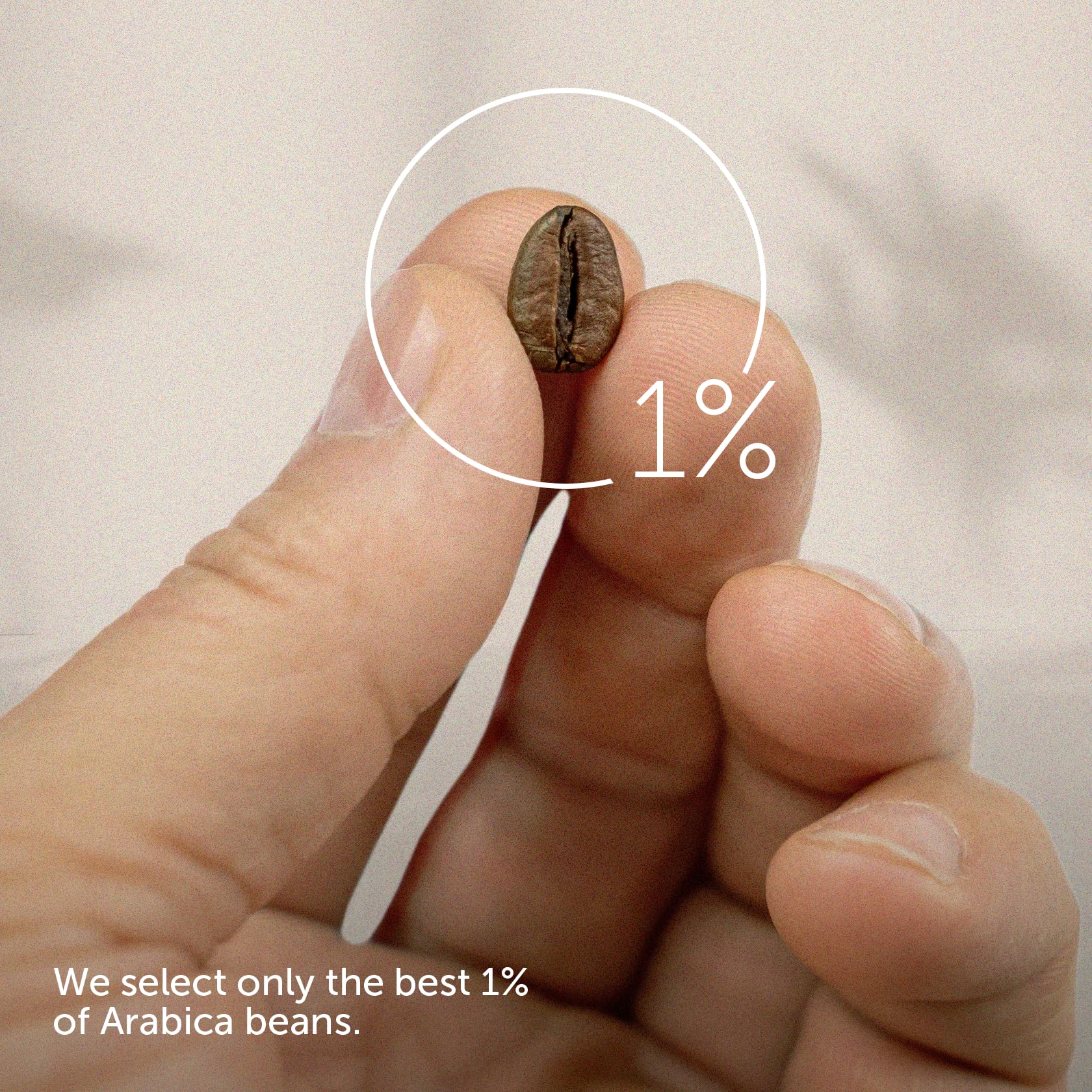 illy whole bean coffee showcases a rich aroma and balanced flavor profile.