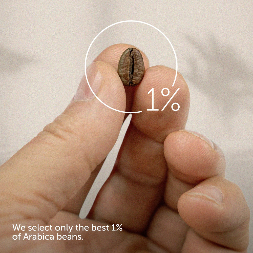 illy whole bean coffee showcases a rich aroma and balanced flavor profile.