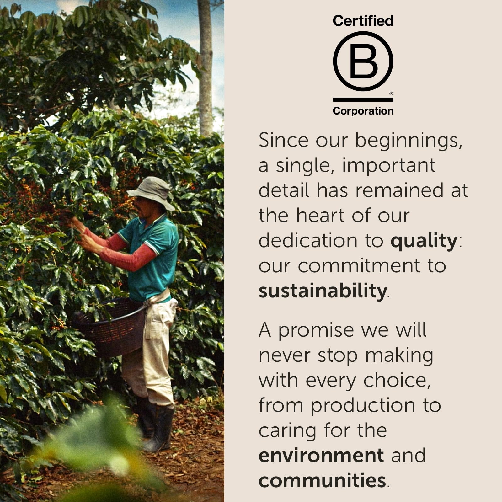 illy Moka Intenso dark roast reveals bold cocoa and dried fruit notes.