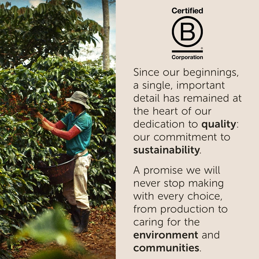 illy Moka Intenso dark roast reveals bold cocoa and dried fruit notes.