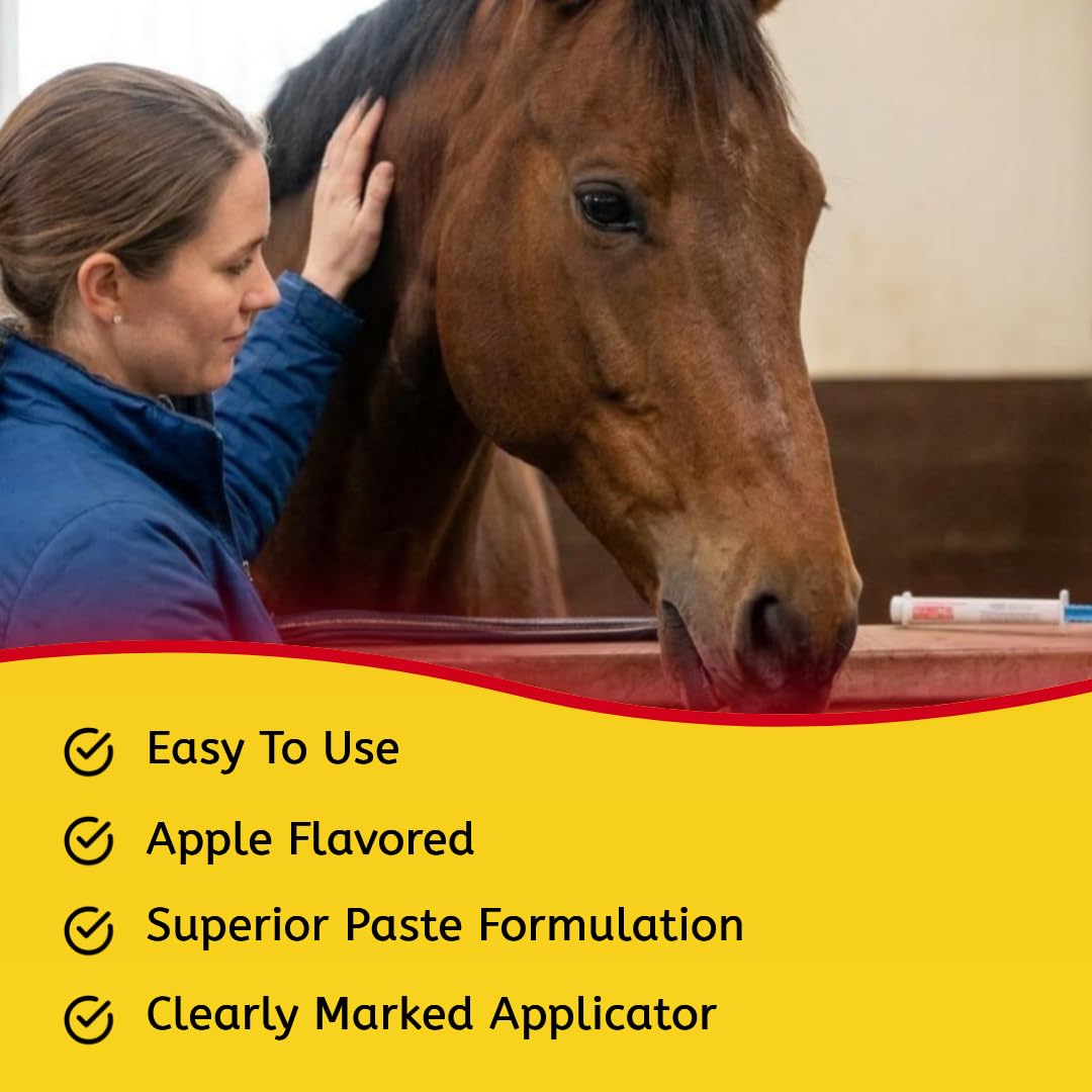 Durvet Ivermectin Paste Dewormer for Horses – 6.08 g Dose, 1.87% Ivermectin, Apple Flavor