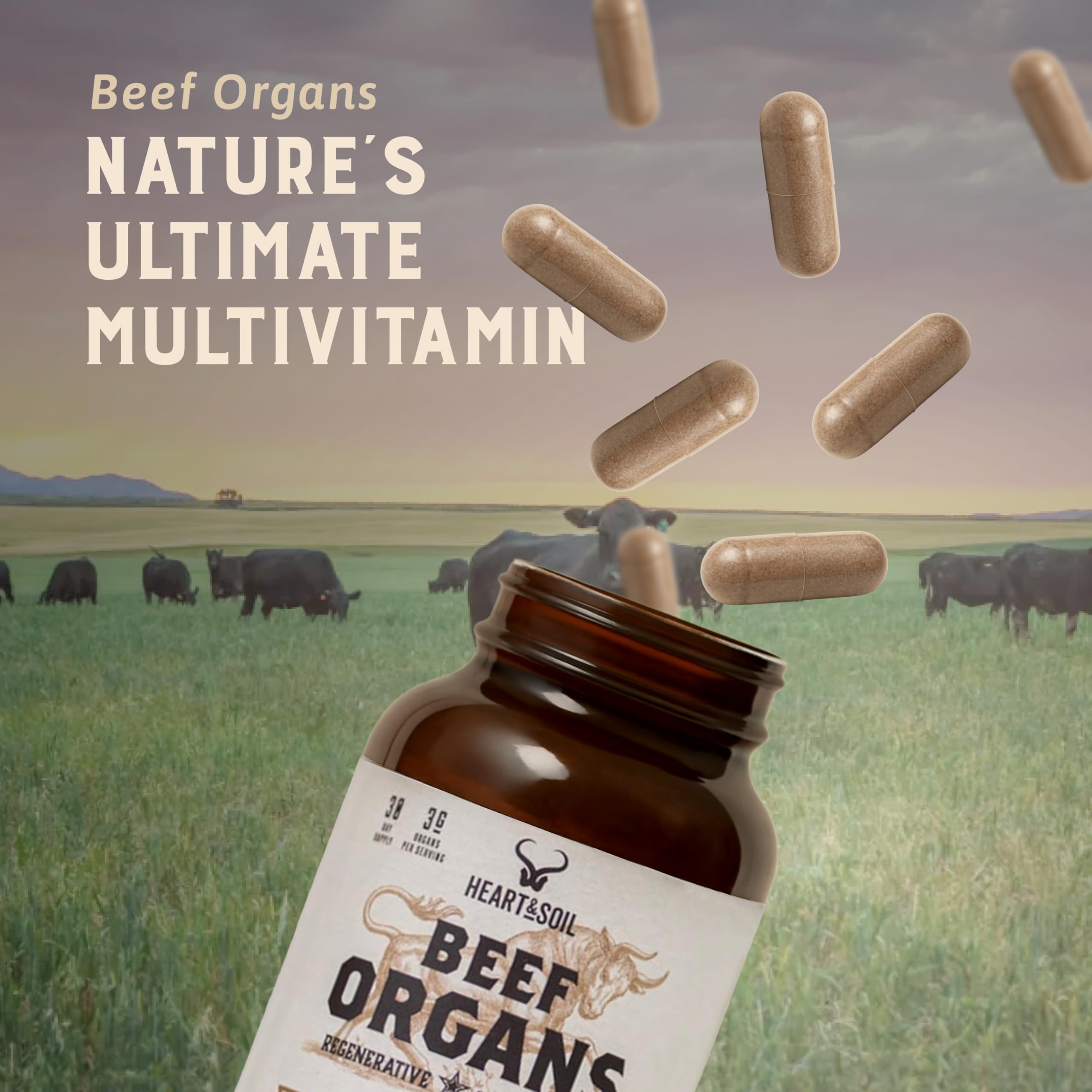 HEART & SOIL – 100% Grass-Fed Beef Organs (Liver, Heart, Kidney, Pancreas & Spleen) | 3000mg Daily Formula | 180 Capsules