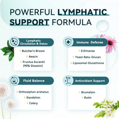 iMATCHME Lymphatic Drainage ingredients scene showcases Echinacea and dandelion for balance