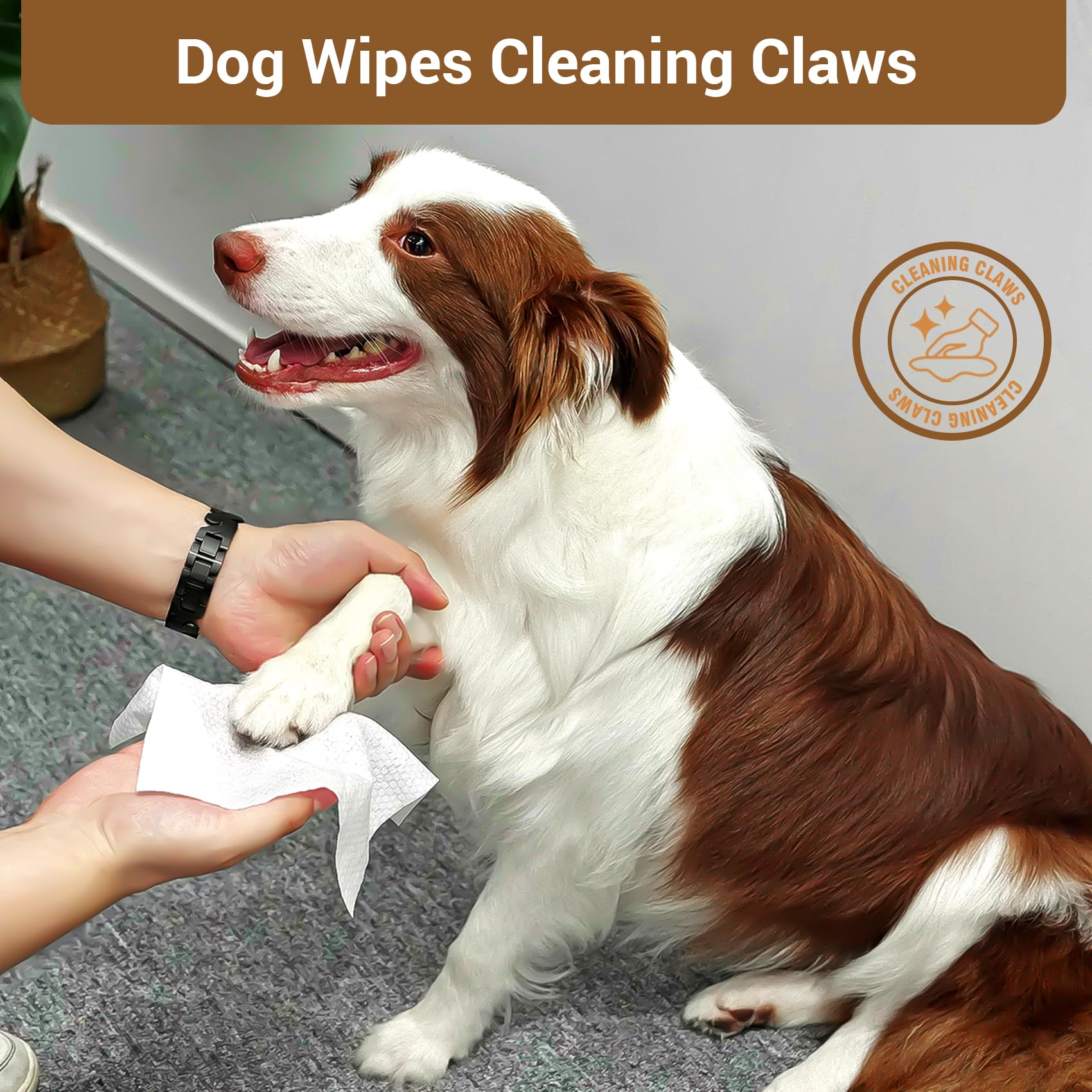 IMMCUTE coconut oil dog wipes for face and body gentle cleanse for sensitive areas.