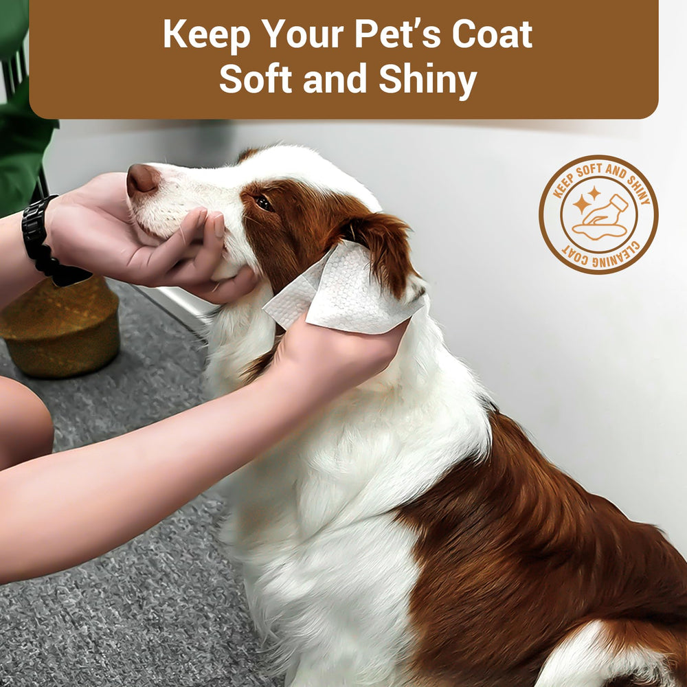 IMMCUTE dog wipes provide odor control and gentle cleaning on contact.