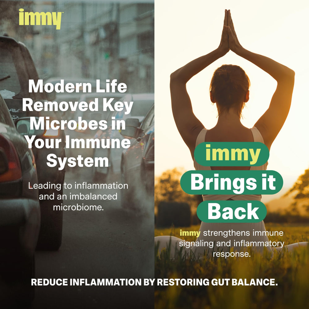 Illustration of IMMY M. aurum bacteria for gut-immune balance