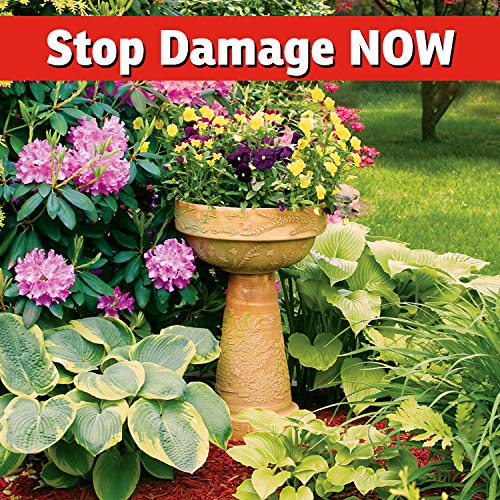 IMUSTGARDEN trusted by professionals for over twenty years.