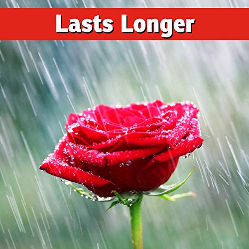 IMUSTGARDEN long-lasting protection with sticking agents on leaves.