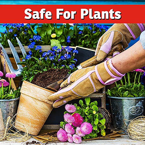 IMUSTGARDEN safe for pets and pollinators deer spray keeps gardens safe.
