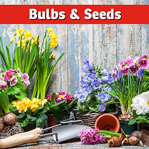 IMUSTGARDEN Squirrel Repellent protects garden planters and horticulture areas