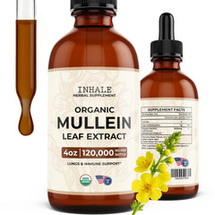 Inhale Mullein Drops bottle showing the USDA Organic tincture for daily respiratory support