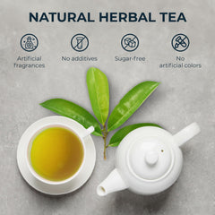 Close-up of handpicked INJOY YOUR VITALGRI:N soursop leaves
