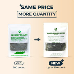Steam rises as INJOY YOUR VITALGRI:N tea steeps for relaxation
