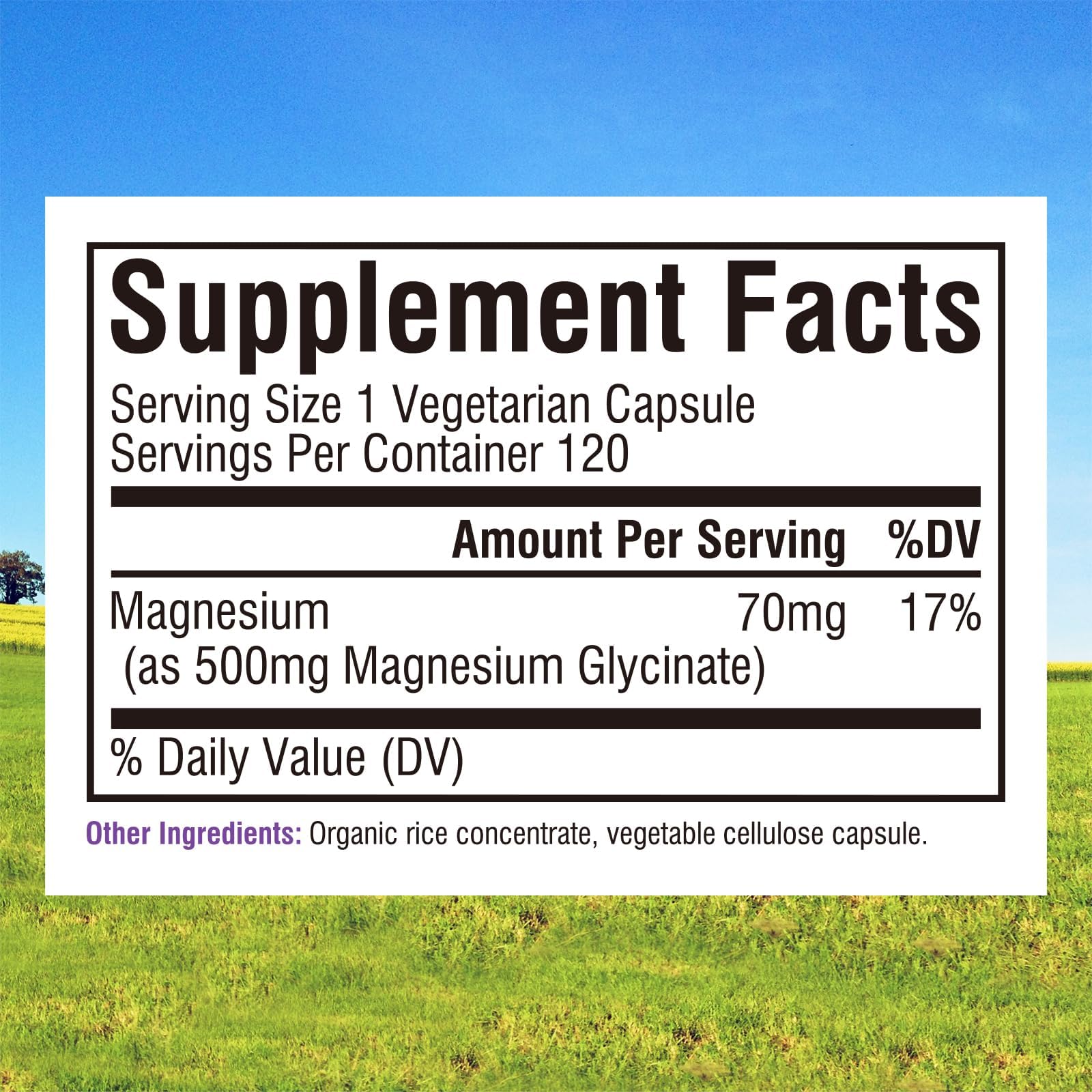Front view of Innate Vitality bottle containing 120 capsules.