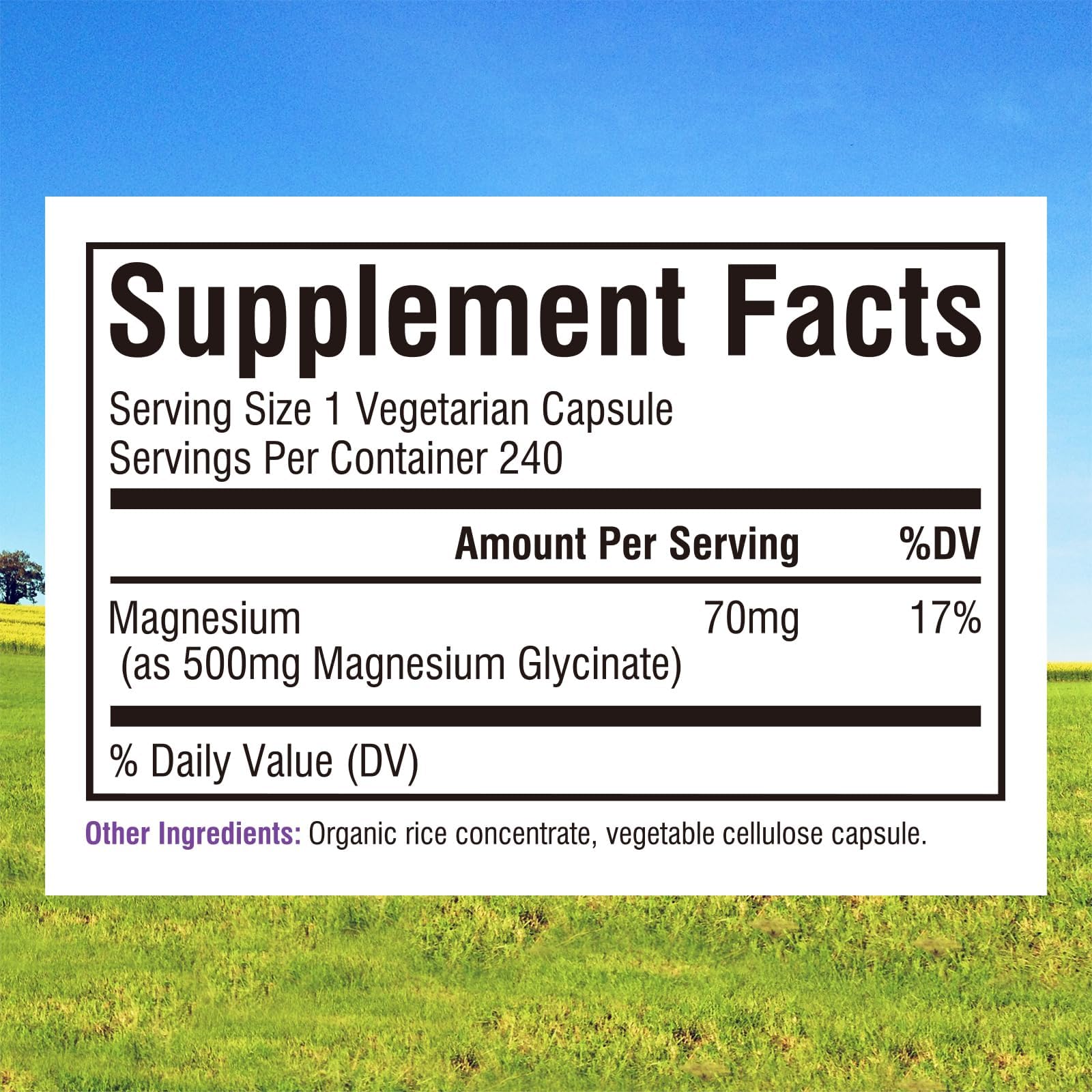 Close-up of Innate Vitality capsules showing a small, easy-to-swallow shape.