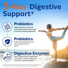 Graphic depiction of 13 digestive enzymes aiding breakdown of foods for better nutrient uptake