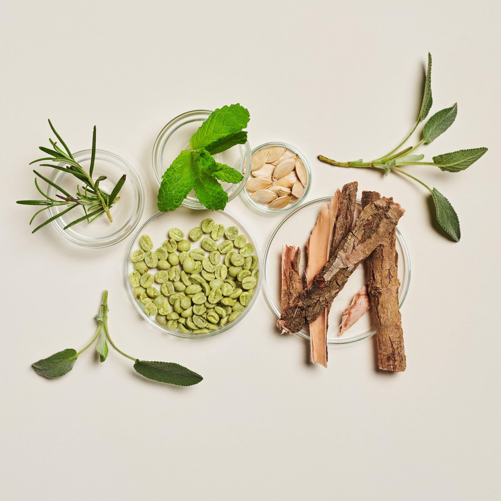 INNERSENSE Green coffee bean extract scene suggests scalp circulation support.