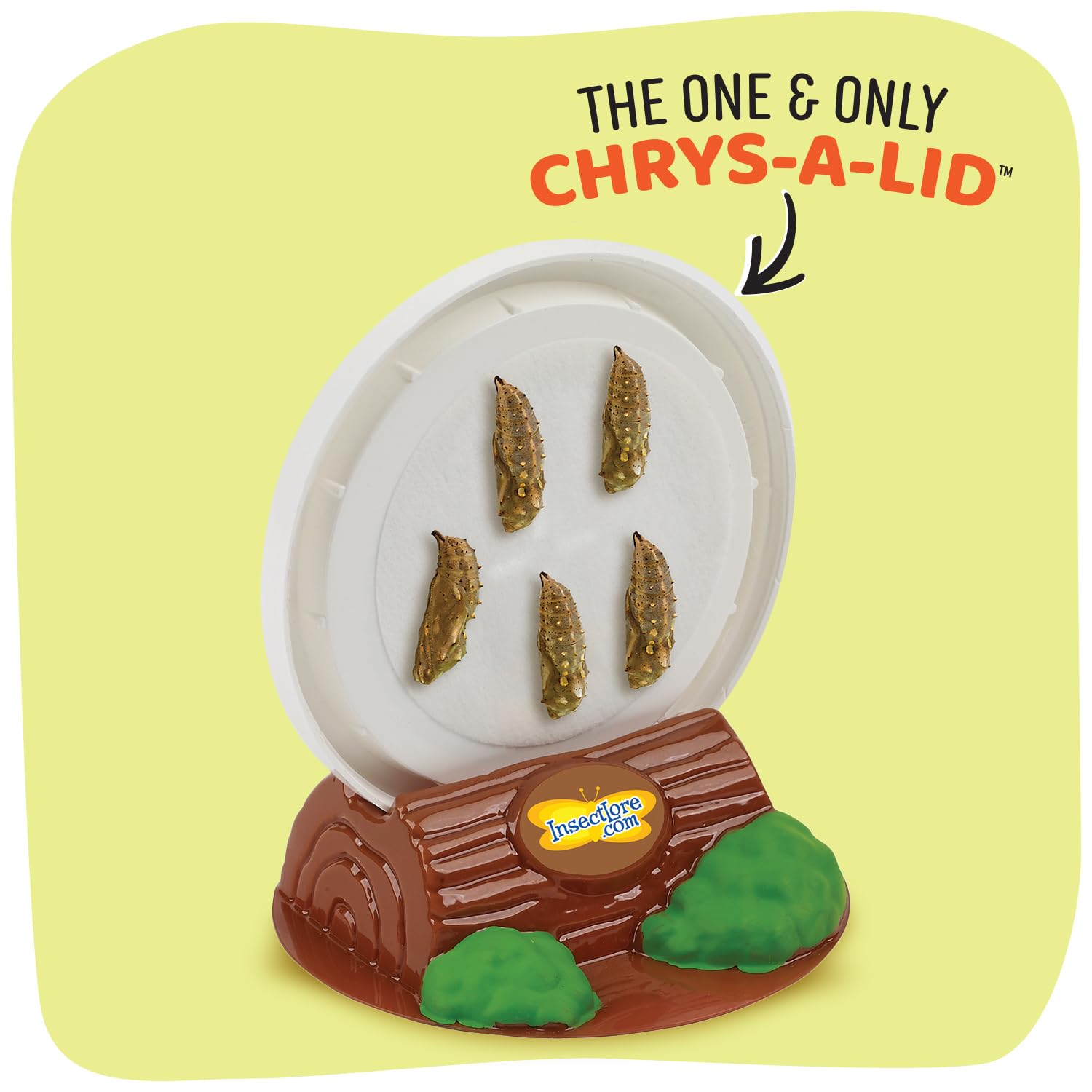 Caterpillar instruction guide supports step-by-step growing activities.