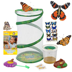 Insect Lore Butterfly Garden Gift Set 8-inch Habitat with live caterpillars ready for observation
