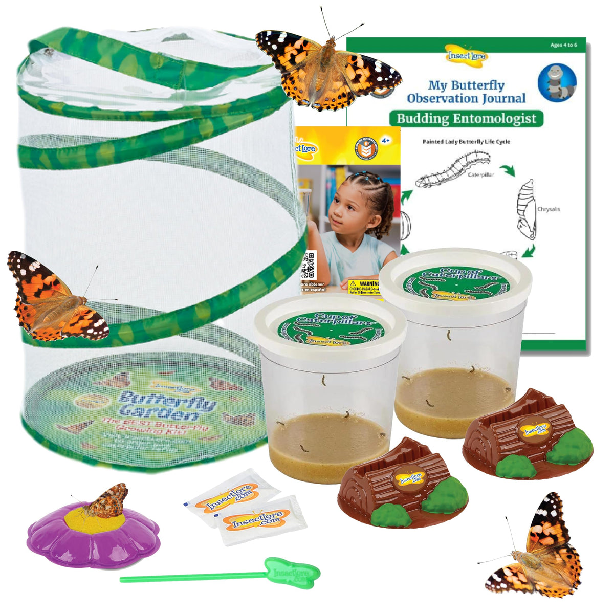 Insect Lore Butterfly Garden setup showing a complete home habitat for learning
