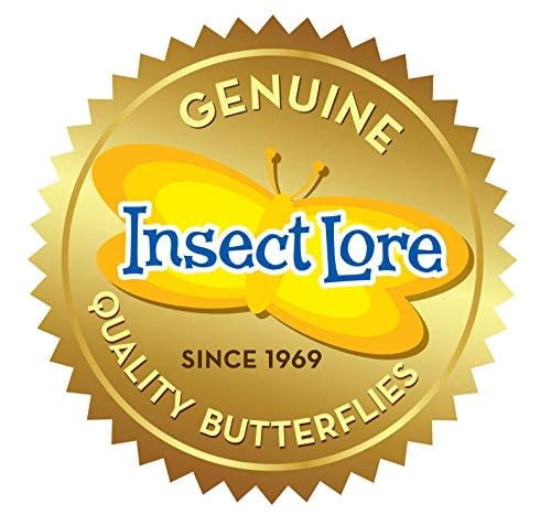 Insect Lore compact mesh habitat designed for easy storage
