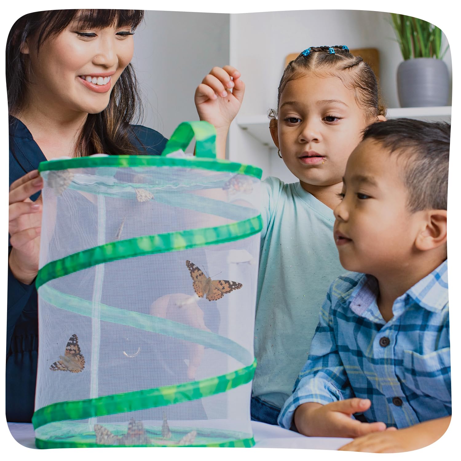 Insect Lore flower-shaped butterfly feeder used for nectar feeding observation.