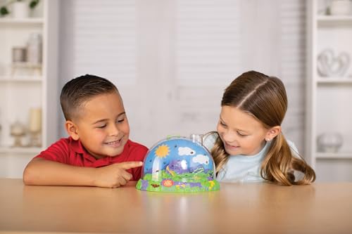 Insect Lore Ladybug Land magnifying lid enhances bug viewing