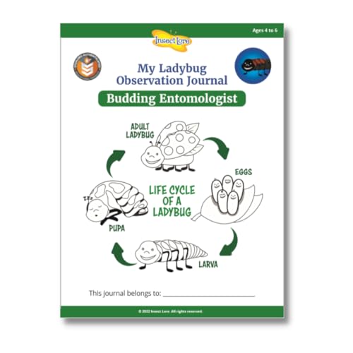 Insect Lore Ladybug larvae close-up showing feeding and growth