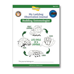 Insect Lore Ladybug larvae close-up showing feeding and growth