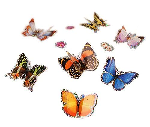 Insect Lore sugar packets for creating butterfly nectar