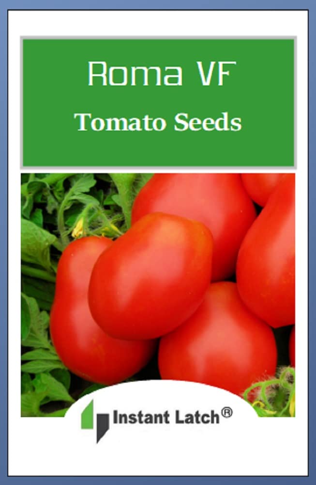 Roma VF tomato fruit close-up, 6 oz plum tomato ideal for sauces and slicing.