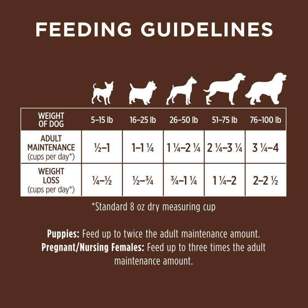 Instinct Original dog enjoying meal conveys palatability and satisfaction