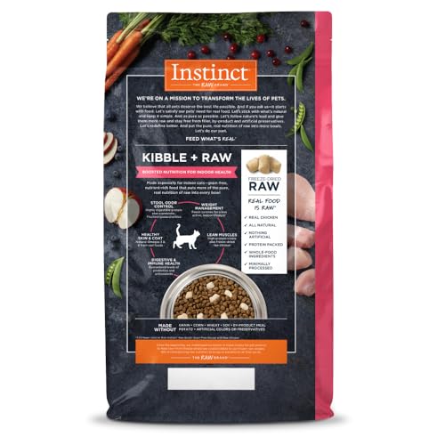 Close-up of freeze-dried raw pieces highlights texture variety in Instinct Raw Boost.