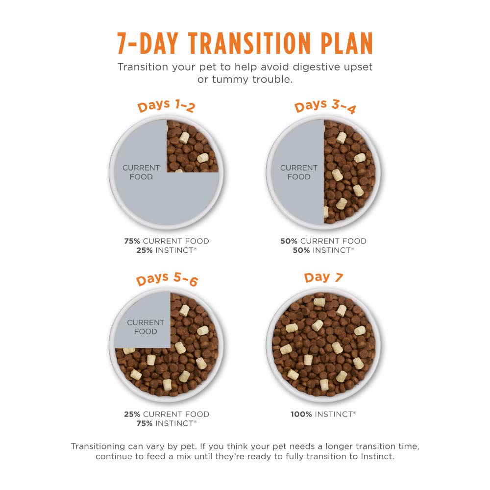 Kibble with glossy texture paired with a cat bowl of Instinct Raw Boost.