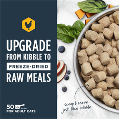 Instinct Raw Meals protein bowl—protein-rich serving for cats.