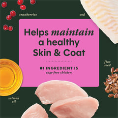 Instinct RawBoost freeze-dried bites close-up showing crunchy texture for dogs.