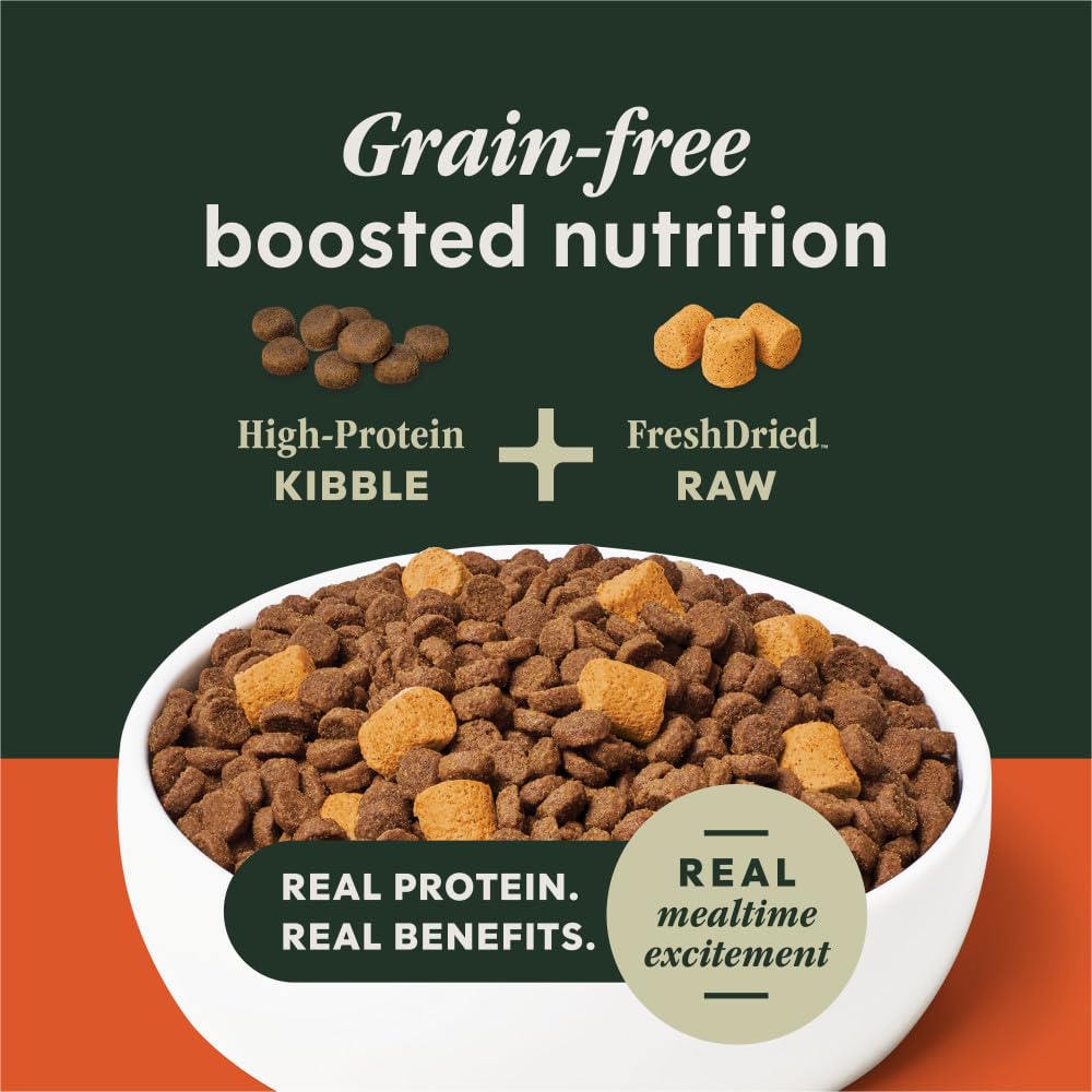 Instinct RawBoost grain-free dry dog food bag emphasizes grain-free nutrition