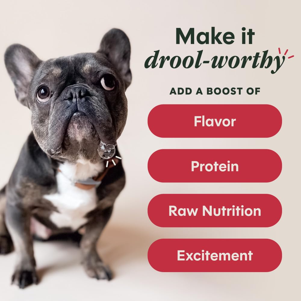 Instinct RawBoost Shakers beef recipe savory gravy ready in seconds to hydrate meals.