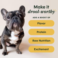 Instinct RawBoost Shakers gravy mix ready for a savory, hydrating meal.