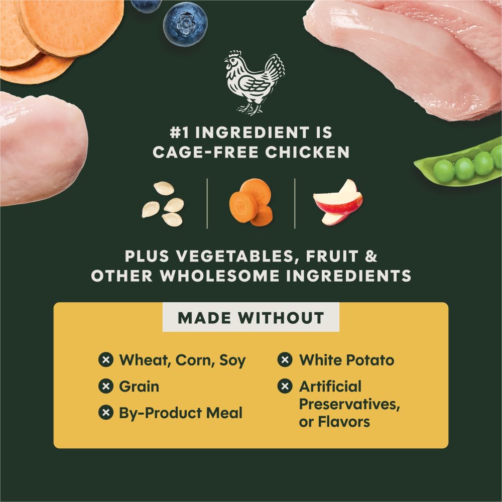 Instinct RawBoost probiotics and omegas illustration suggesting digestion and skin health