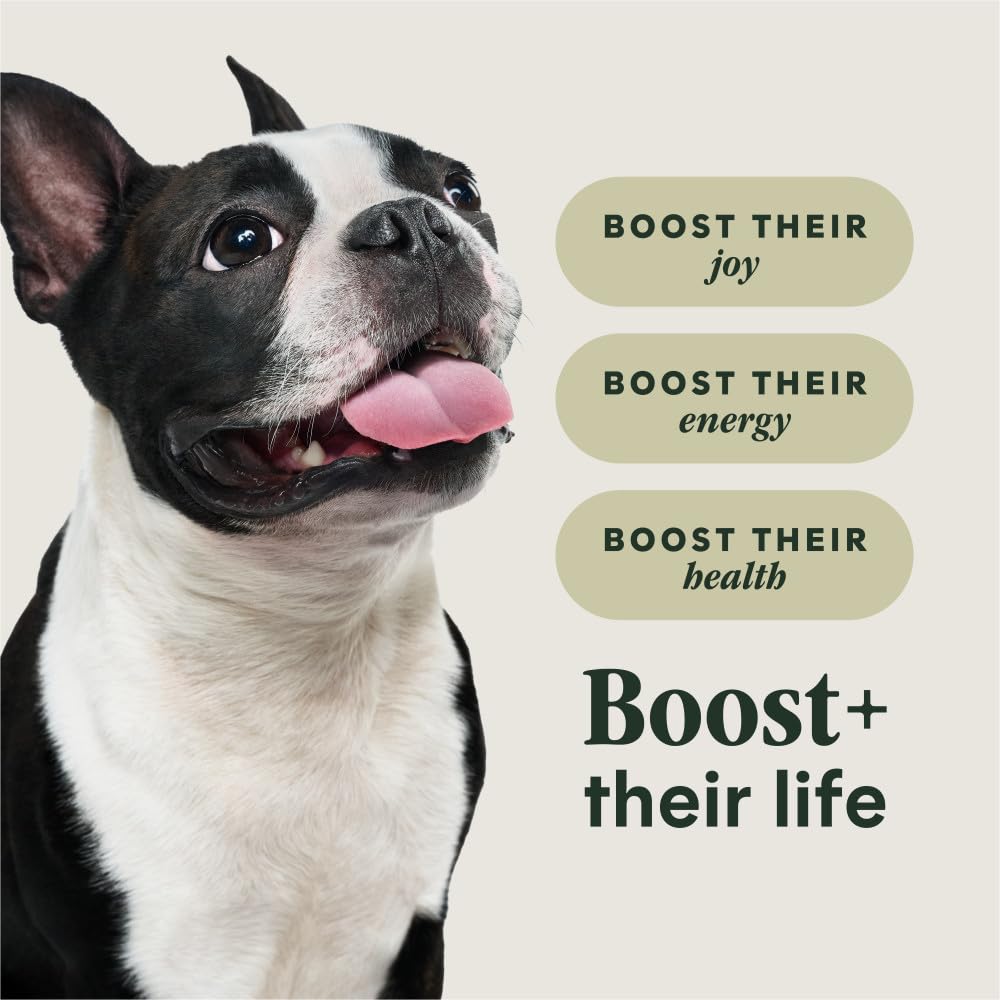 Instinct RawBoost small breed real beef chunks signal high-quality protein.