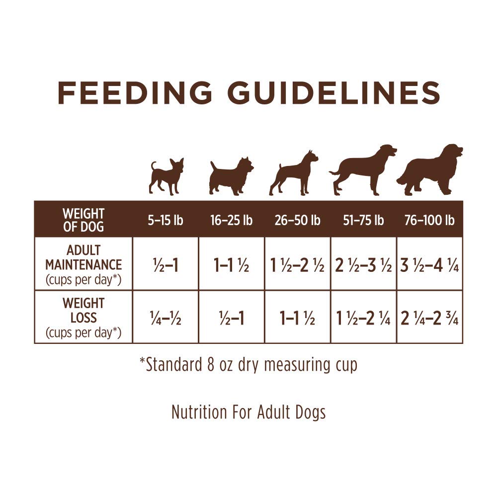 Real lamb is the first ingredient in Instinct dog food for protein-forward nutrition.