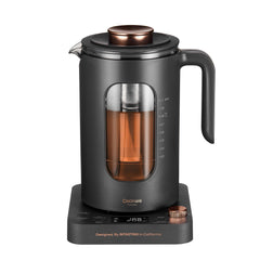 intasting glass electric kettle with tea infuser for quick brews
